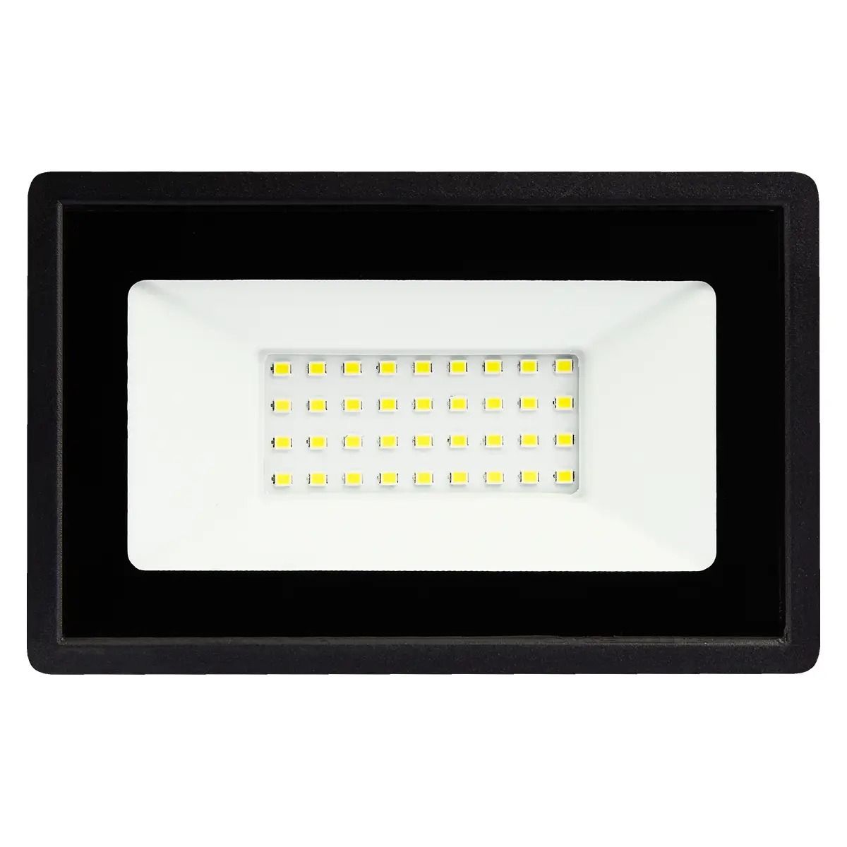 Прожектор BIOM LED AREAL 30W PR-30 6200К 220V IP65