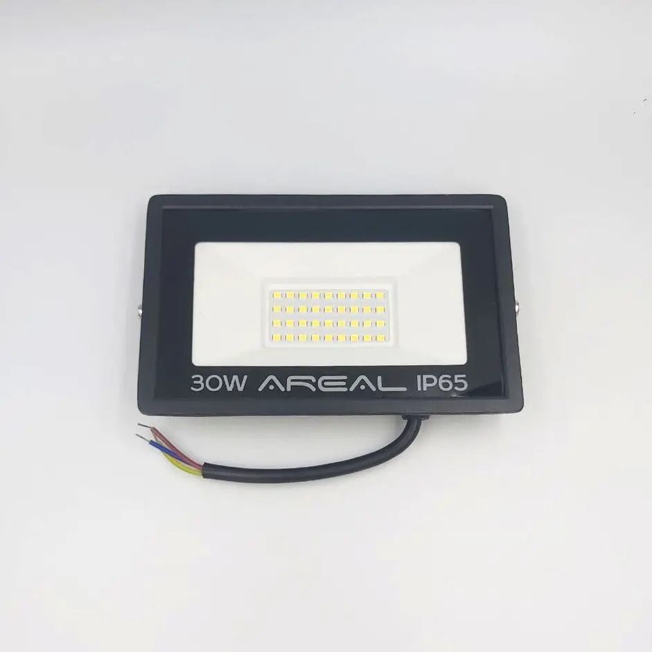Прож. LED BIOM AREAL 30W PR-30 6200К 220V IP65 (№3)